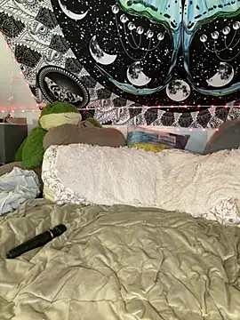 SuzyCatzz Live XXX-chat