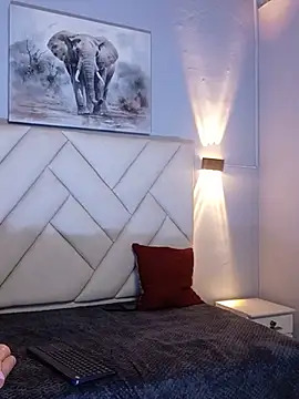 nika_velvet Adlı Modelin Canlı XXX Sohbeti