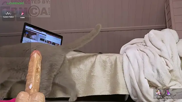 sexyshowow 라이브 XXX 채팅