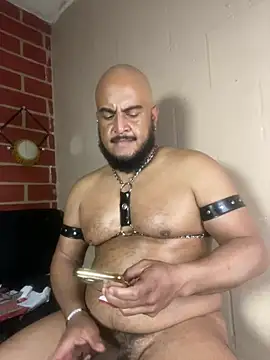 دردشة the_master_foal_ الجنسية المباشرة