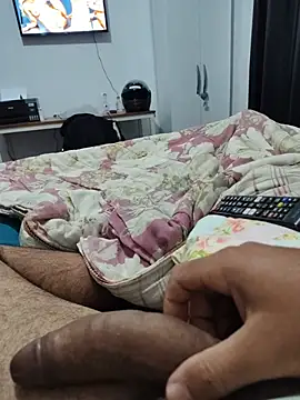 Show de Willdpo na webcam