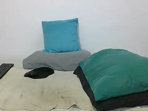 TRIISTAN_KING10 লাইভ XXX চ্যাট