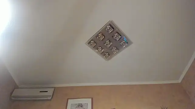 Diamond_D_'s Live XXX Chat