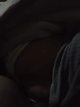 WiseDi Live XXX-Chat