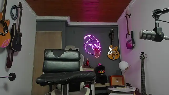 Show Webcam de granxarma