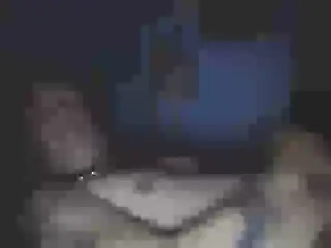 SHARPSkinheadn Webbikameraesitys