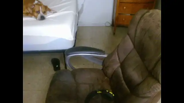 DADDY_KANE8--- Chat XXX in diretta