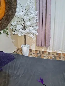 ScentingToluene Adlı Modelin Canlı XXX Sohbeti