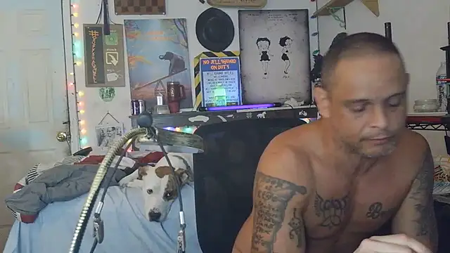 Show webcam de Buffshagswell
