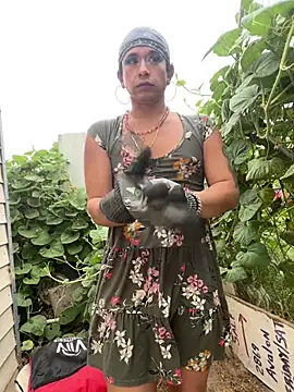 TranSexualJade95 现场XXX聊天