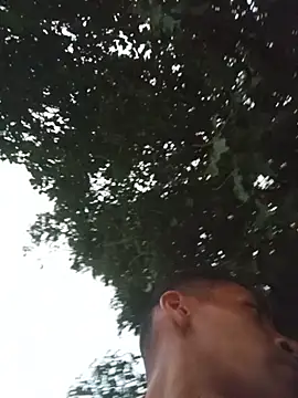 Mesero26 – Naživo XXX chat