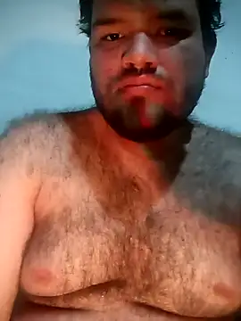 big__bearrr 现场XXX聊天