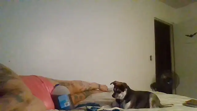 Chat XXX en directo de ThorsonFreja
