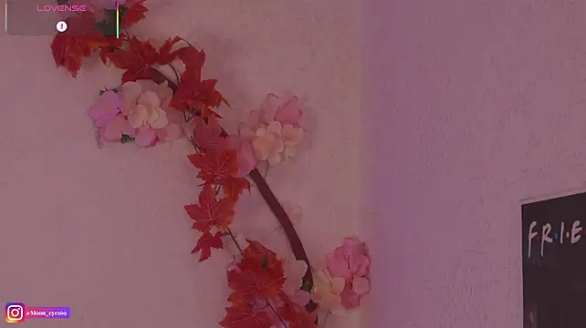 Moon_eyes 라이브 XXX 채팅