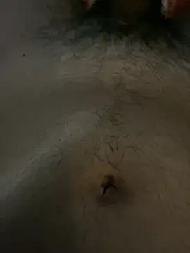 guacyxxx Webcam-Show