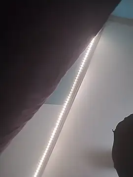 ReallyReallyReal 라이브 XXX 채팅