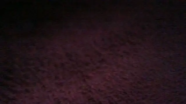 Chichoplus1 Live XXX-chat