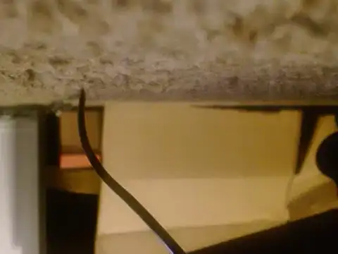 MrDontRush's Live XXX Chat
