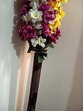 Tanha18 Adlı Modelin Canlı XXX Sohbeti