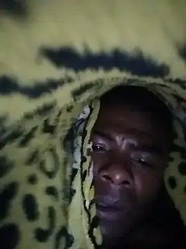 InsituFull Live XXX-chat