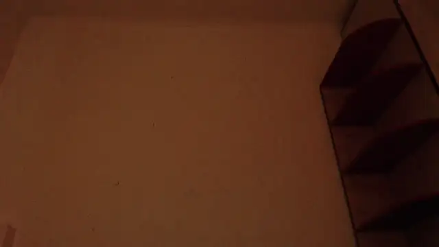 Czat XXX na żywo – Fudzik0