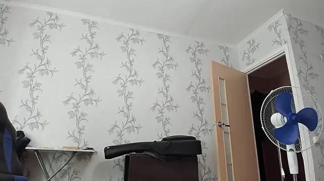 SanFrantsisko: вебкам-шоу