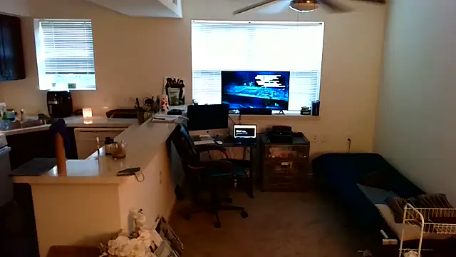 Q1357q Webcam Show