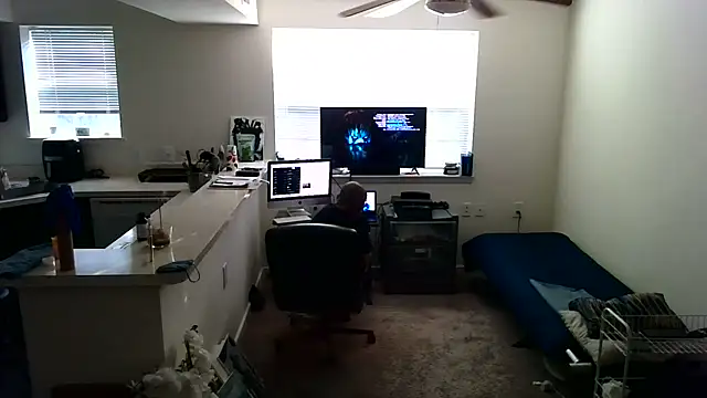 Q1357q Webcam-Show