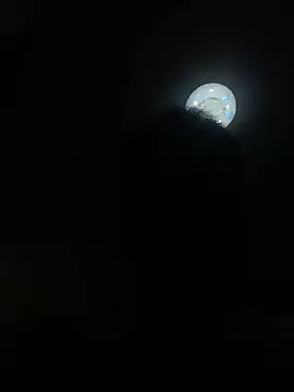 niuxige001's Live XXX Chat