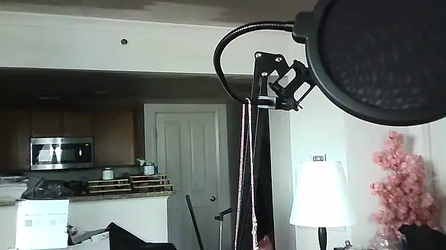 mikey-s-cort Live XXX Chat