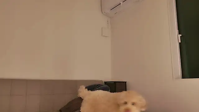 Chat +18 de miRei- ao vivo