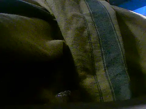 Precumking1 webcam show