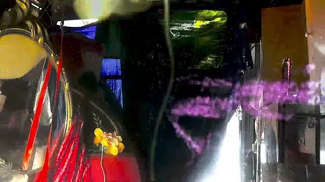 Webkamerová show TgirlBrat