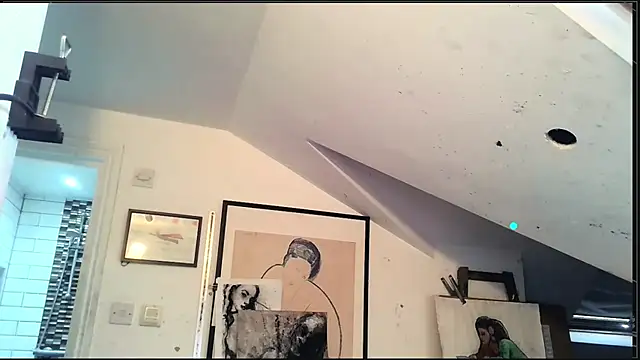 Webkamerová show mista_sista_fista