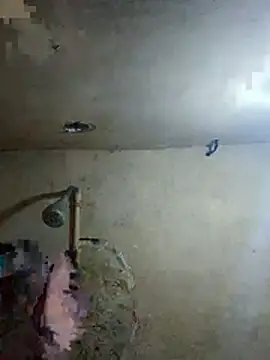 125Delfin90 Show Webcam