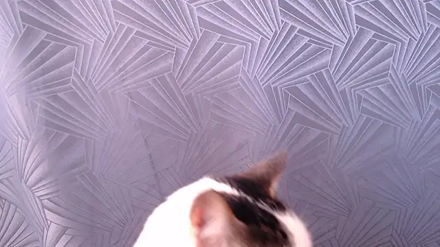 Živý XXX chat Freyja_eter