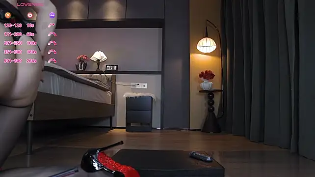 AYW-21n Webbikameraesitys