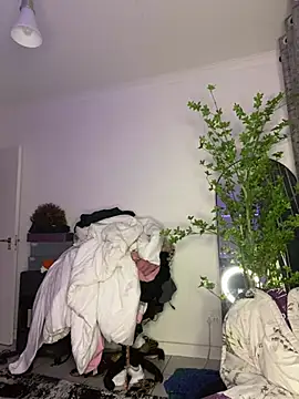 RainBougie Live XXX-Chat