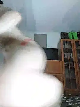 AnitaCat Webcam show