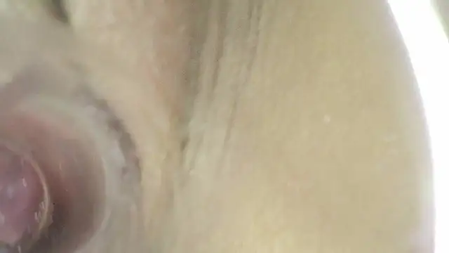 karol_stom Live XXX Chat