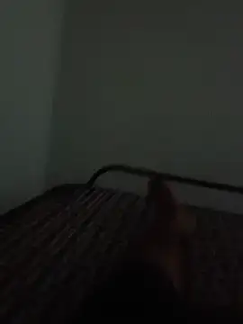 raaj121219 webkamerás műsora