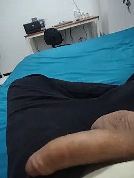 Show de webcam de Willdpo