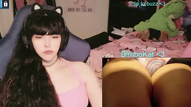 BimboCat élő XXX-chatje