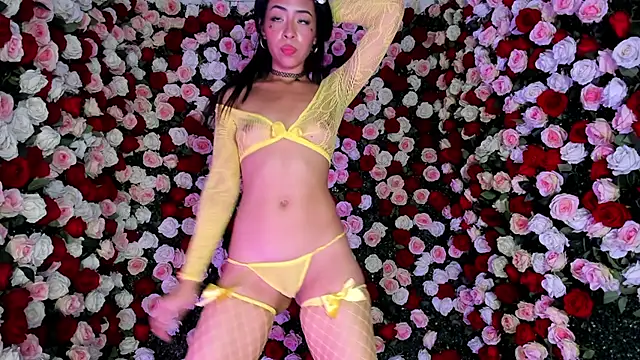 Stella_michel élő XXX-chatje