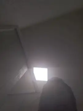 Hillaryplug2026 élő XXX-chatje
