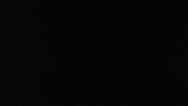 falconcam 现场XXX聊天