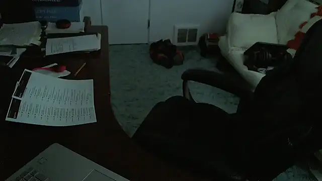 falconcam 现场XXX聊天