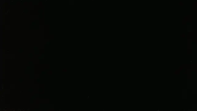 Chat XXX en directo de falconcam