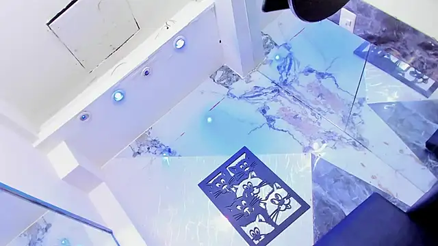 Frank_Boysn Webbikameraesitys