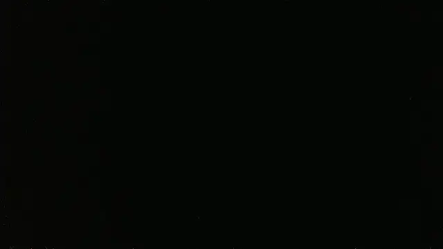 Chat XXX en directo de falconcam